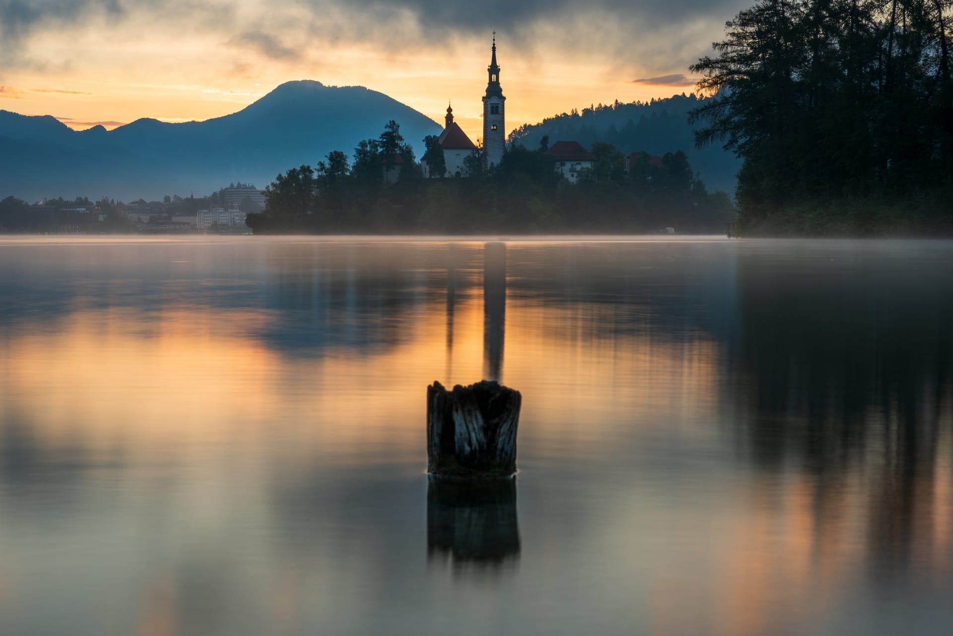 The pilgrimage church on the island in Lake Bled reflected in misty water, an old tree stump in the foreground, mountains in warm morning light